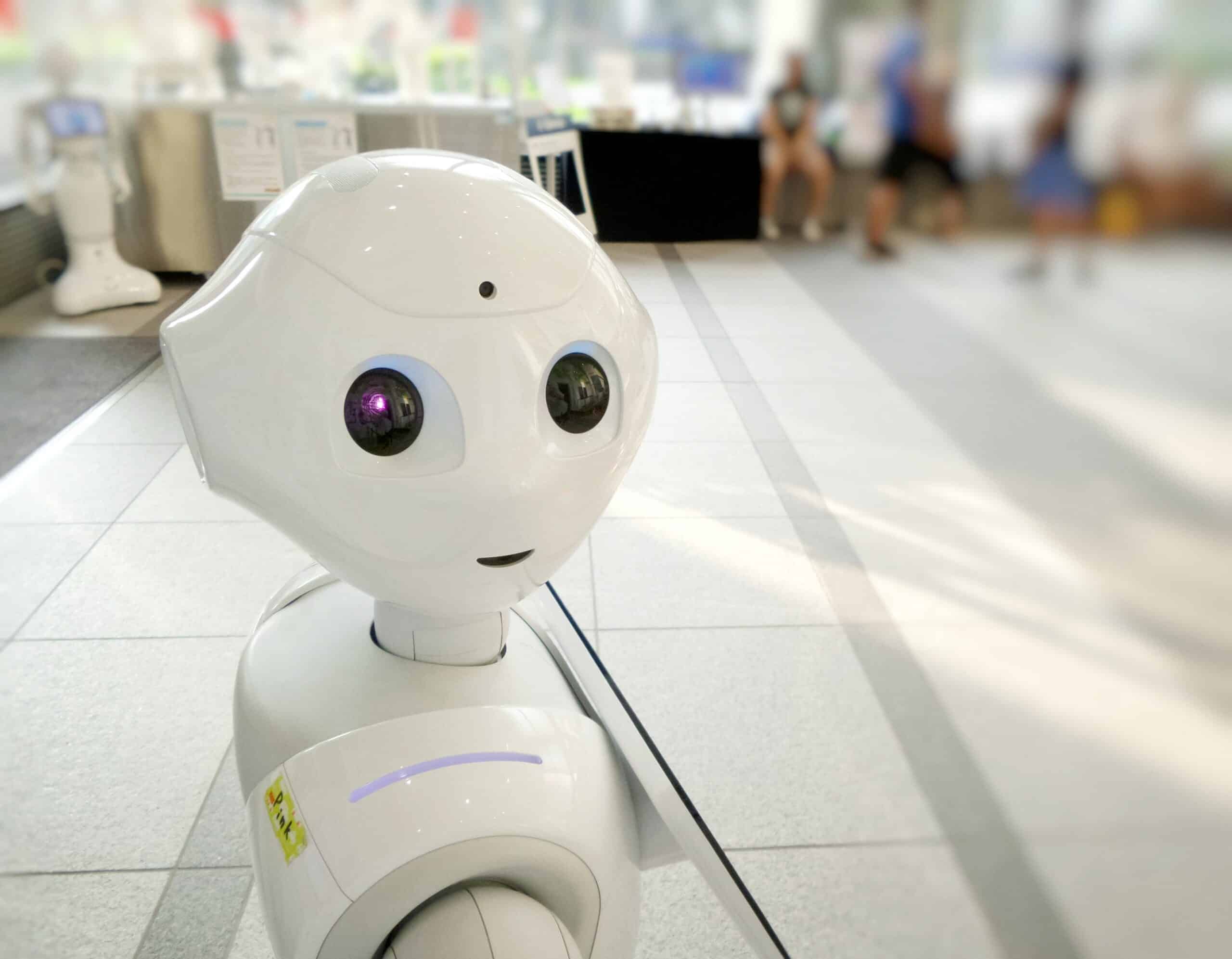 ChatGPT, robot doté d'une IA regarde l'utilisateur